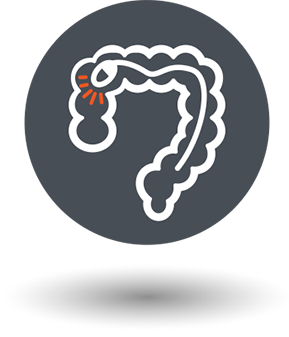 colonscopy icon